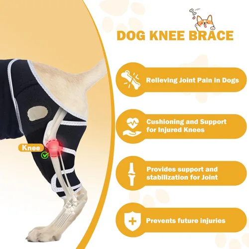 Miniatura 3 de Rodillera para perro para pierna trasera desgarrada del ligamento cruzado anterior, pierna delantera o trasera con lesiones de ligamento cruzado