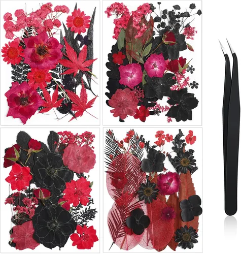 Miniatura 13 de Nuanchu Flores secas prensadas negras para manualidades, flores secas góticas, flores silvestres prensadas naturales a granel con pinzas para molde