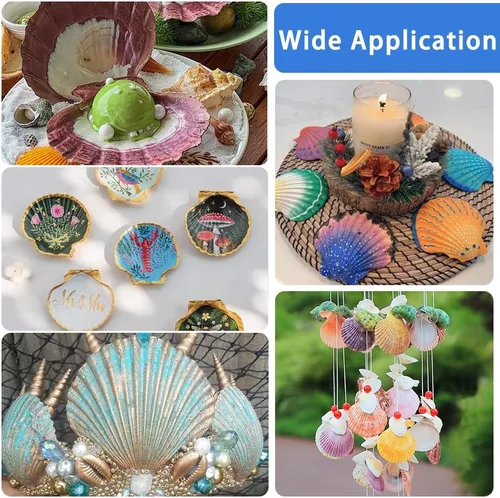 Miniatura 6 de YUJUN 18 conchas de vieira naturales grandes, de 2 a 3 pulgadas, 4 a 5 pulgadas, conchas marinas blancas a granel para manualidades, pintura