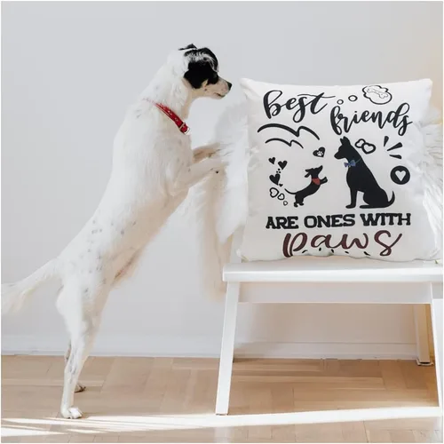 Miniatura 8 de Fundas de almohada para perro, fundas de almohada para mascotas, funda de almohada de algodón y lino para sofá, cama, 18 x 18 pulgadas, juego de 4