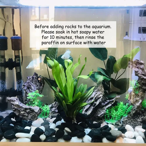 Miniatura 8 de FANTIAN Rocas blancas de río de 40 libras para paisajismo, guijarros pulidos de 1-2 pulgadas para plantas de interior, piedras blancas decorativas