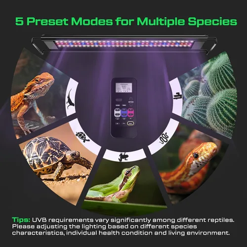 Miniatura 7 de Luz de reptil UVB de 12 W, lámpara de tira de reptiles UVB UVA, control remoto con temporizador 24/7, tira de luces UVB para dragón barbudo