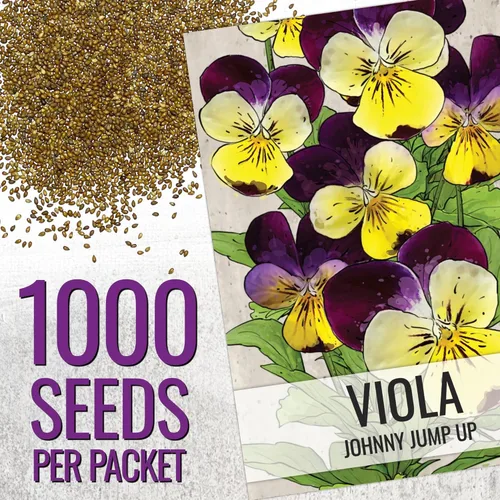 Miniatura 3 de Seed Needs Johnny Jump Up Semillas para plantar violas, reliquia y flores polinizadas abiertas para plantar un jardín de mariposas lleno de flores