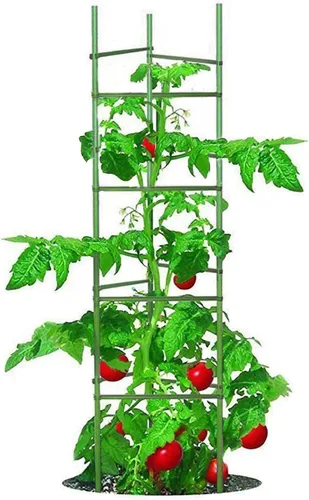 Jaula para tomate de 5 pies, paquete de 6 jaulas grandes y altas para tomates con estacas de jardín, 40 clips y lazos para plantas incluidos, verde