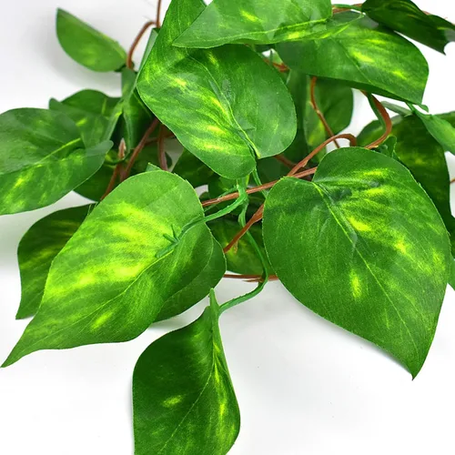 Miniatura 8 de KATUMO Plantas de reptiles, 3 plantas colgantes de anfibios con ventosa para serpientes, dragones barbudos, lagartos, geckos, sapos, tanque