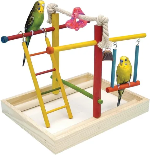 Penn-Plax Centro de Actividades para Aves – Perfecto para Aves Jóvenes o Pequeñas Varios colores