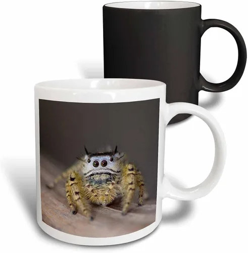 Miniatura 7 de 3dRose, Taza negra bicolor de 11 oz, negro/blanco