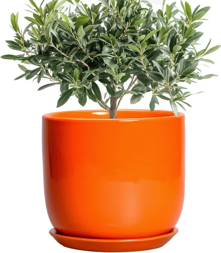 Miniatura 40 de Maceta de Cerámica para Plantas de Interior de 5 Pulgadas - Maceta Redonda para Plantas Suculentas con Agujero de Drenaje y Platillo, Decoración