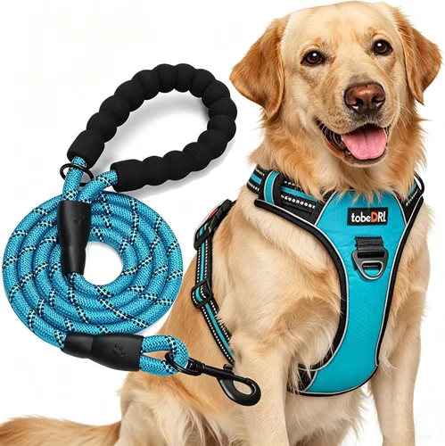 Miniatura 13 de TobeDRI - Arnés antitirones para perro, ajustable, reflectante, tela Oxford fácil de controlar, para perros medianos y grandes con una correa de 5
