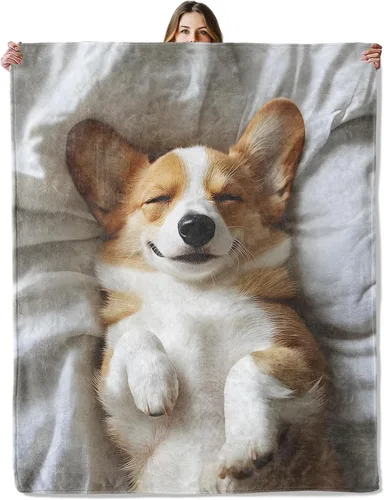 Manta de perro Corgi para niñas, niños y adultos, 40 x 50 pulgadas, acogedora manta de franela para dormitorio, campamento, sofá, decoración de