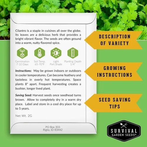 Miniatura 2 de Semillas de cilantro para plantar Hierba de cilantro sin OMG Cultivo de jardín interior y exterior Cosecha confiable de crecimiento rápido