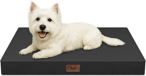 Miniatura 54 de Cama ortopédica de felpa para perros y cachorros medianos, camas impermeables para perros de 30 x 20 pulgadas con funda extraíble lavable, tapete