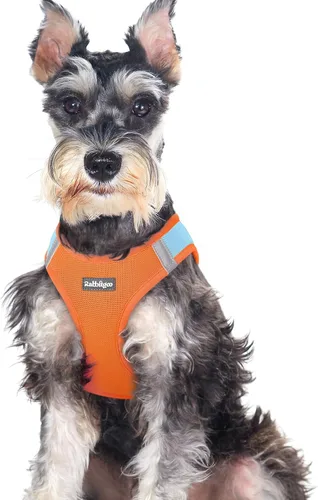 Miniatura 45 de rabbitgoo Arnés para perro pequeño, chaleco de malla suave para cachorros con hebilla de seguridad, arnés reflectante transpirable para mascotas