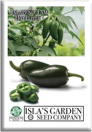 Semillas de pimientos picantes Jalapeño Tam para plantar, más de 50 semillas tradicionales por paquete, semillas de jardín de Isla (semillas de