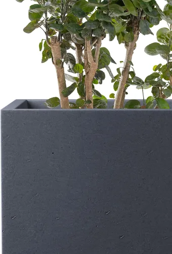 Miniatura 7 de Kante Macetas rectangulares de hormigón de 12.6 pulgadas de alto, macetas ligeras para interiores y exteriores con orificio de drenaje y tapón