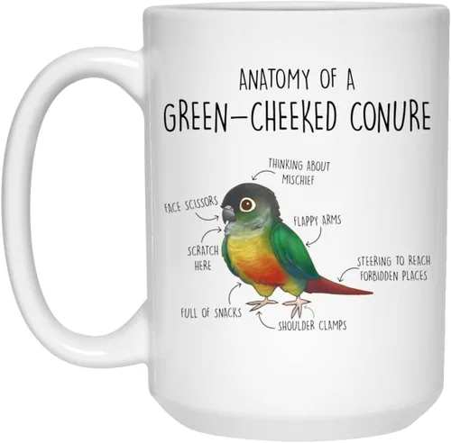 Miniatura 2 de Taza de café de mejillas conure, lindo regalo de loro para mascotas, amante de los pájaros, regalo divertido para ella, él, taza de mejilla verde