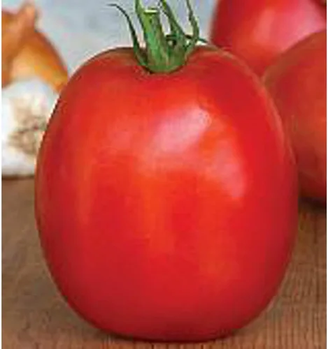 SuperSauce Semillas de tomate (45 semillas) Semillas para plantar, granja, cultivo en jardín, invernadero, vegetales, frutas