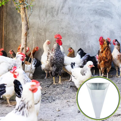 Miniatura 7 de Mumufy 4 piezas de cono de pollo mediano, conos de retención de aves de corral de acero galvanizado, hasta 10 libras, cono de embudo de parte