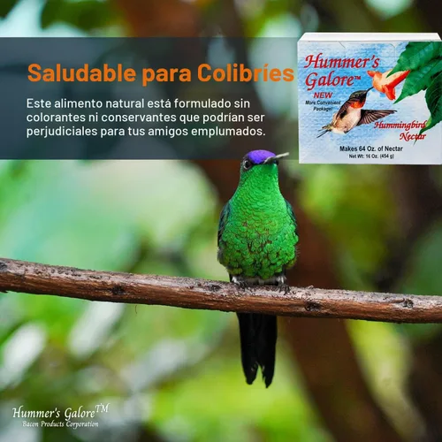 Miniatura 7 de Hummer's Galore Alimento para colibríes, néctar de colibrí listo para mezclar, fórmula colectora de néctar totalmente natural, sin conservantes ni