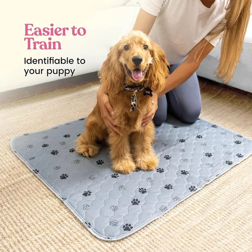 Miniatura 2 de Almohadillas Lavables Súper Absorbentes para Orina de Perros - Paquete de 2 Almohadillas Reutilizables Superiores para Cachorros Almohadillas