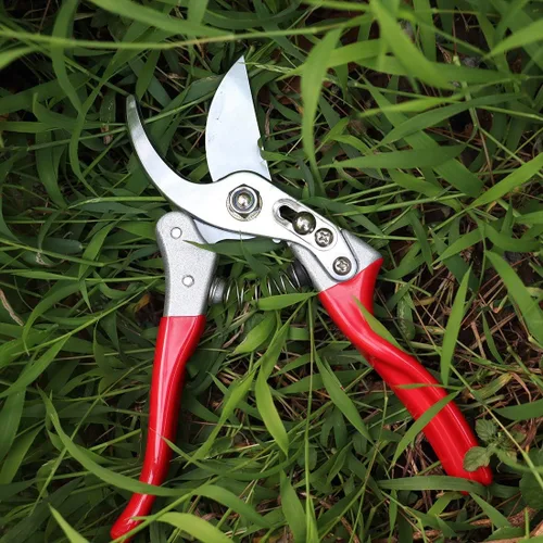 Miniatura 7 de Garden Shears - Tijeras de podar de mano profesionales, tijeras de podar de derivación resistentes (rojo)