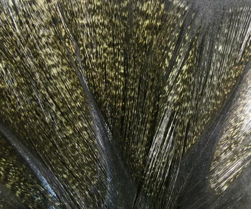 Miniatura 4 de Hareline Fly Tying Coq De Leon Feathers for Dry Fly Tails, Nymphs, and Euro Patterns