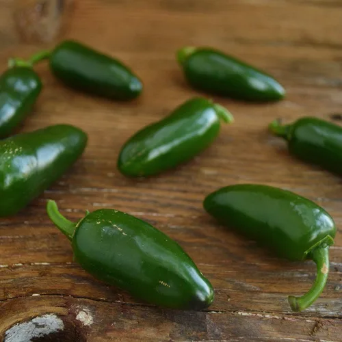 Miniatura 5 de Jalapeño Pimienta chile suave - 25 semillas - Variedad de reliquia y polinizada abierta, jalapeño domado, semillas de chile cultivadas en Estados