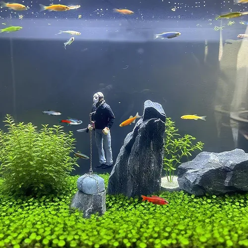 Miniatura 7 de Decoración flotante para pecera, adorno flotante hecho a mano para pecera, diseño único, carácter vivo, perfecto para paisaje de acuario