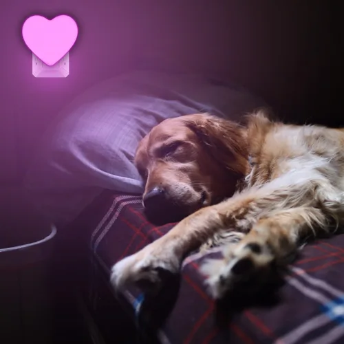 Miniatura 8 de INZU Luces nocturnas enchufables a la pared, luz nocturna LED para niños, bonita luz nocturna con sensor automático de atardecer a amanecer, luz Rosa