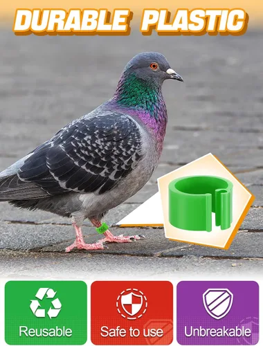 Miniatura 5 de MEWTOGO 100 bandas de pierna de palomas de pájaro de 0.3 pulgadas, coloridos anillos de identificación de pájaros numerados legibles, bandas
