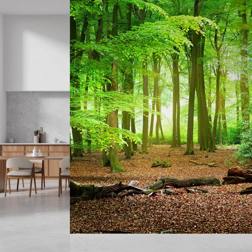 Miniatura 202 de SIGNFORD - Papel tapiz de diseño de bosque, removible para dormitorio o sala de estar, 100 x 144 pulgadas Bosque1-1911-m17