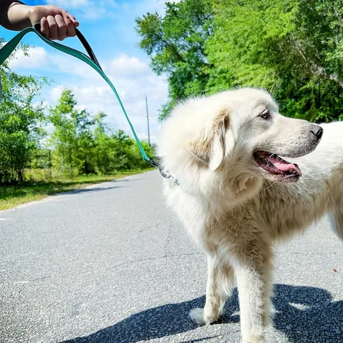 Miniatura 4 de Joytale - Correa resistente para perros grandes que tiran, doble asa para control de tráfico, correas reflectantes de doble cara para perros grandes