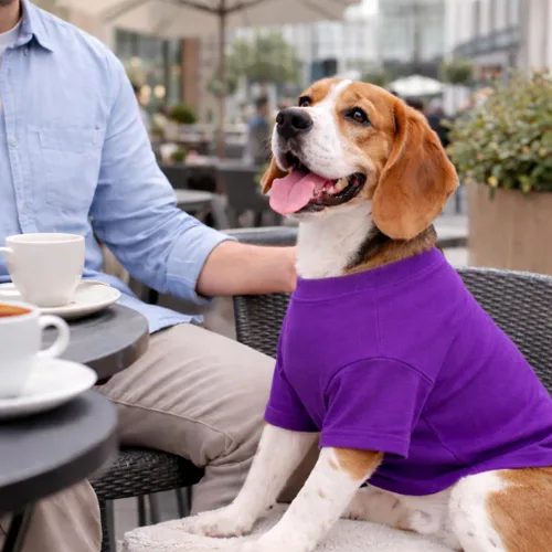 Miniatura 7 de Lovelonglong Ropa para mascotas, disfraces para perros, camiseta básica en blanco para perros medianos y grandes, color morado XXL Púrpura