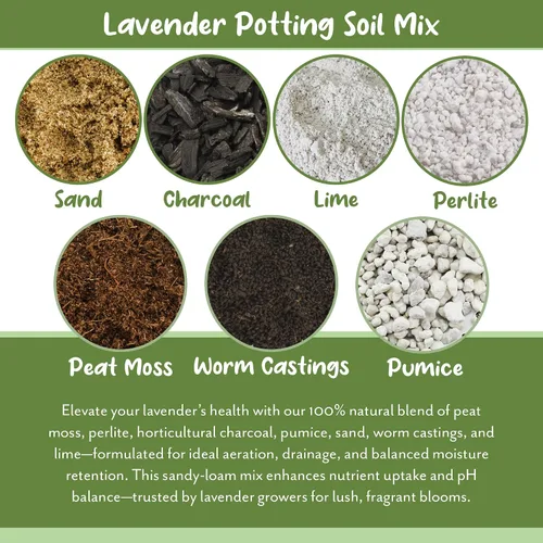 Miniatura 5 de Soil Sunrise Mezcla de tierra para macetas de lavanda (8 cuartos de galón) para interiores y exteriores, mezcla de jardinería para plantas