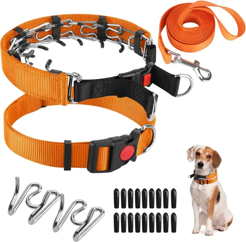 Miniatura 7 de Collar de entrenamiento de puntas con puntas cómodas y hebilla de cierre rápido – Collar de pellizco para perro con cubierta de nailon