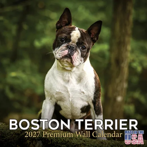 Miniatura 98 de Calendario 2025 2026 de cachorros Cocker Spaniel - Calendario mensual de pared de raza de perro - 12" x 24" abierto - Papel grueso sin sangrado