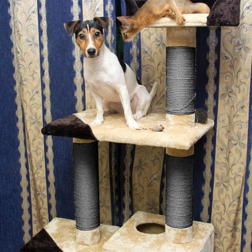 Miniatura 6 de Cuerda de sisal de 0.236 in para rascador de gatos, reparación y reemplazo del poste rascador de gatos, muebles rascadores de bricolaje – árbol
