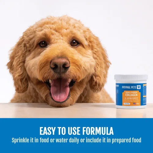 Miniatura 6 de Colágeno de membrana de cáscara de huevo para perros, no gelatina y sin médula ósea, polvo de colágeno para perros de alta calidad natural