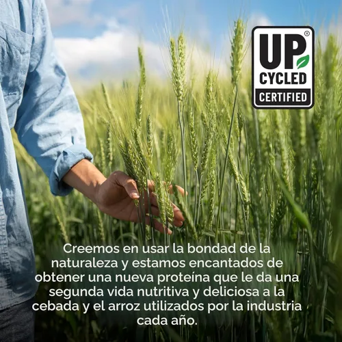 Miniatura 6 de Garden of Life Proteína de cebada germinada a base de plantas, chocolate con 0.74 oz de proteína, 0.00 oz de azúcar e ingredientes limpios, cebada