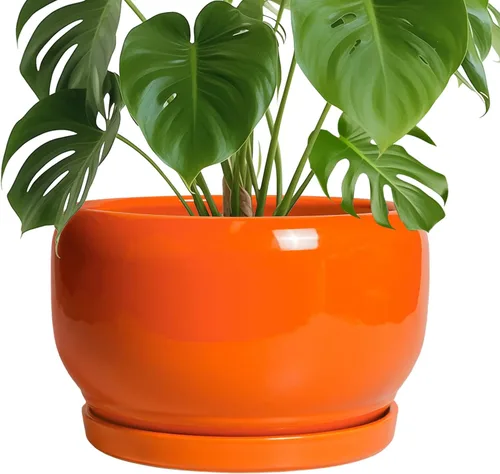 Miniatura 46 de SQOWL Macetas de cerámica – Maceta de 6 pulgadas con orificio de drenaje y bandeja, maceta redonda para plantas de interior, maceta decorativa