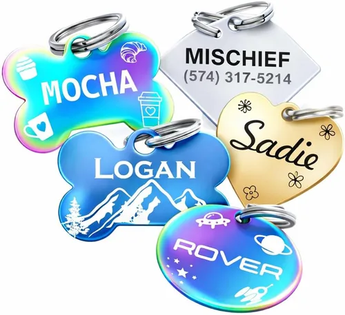 Etiquetas de identificación personalizadas para mascotas de acero inoxidable de Dr. Fremont's, con grabado personalizado, etiquetas para gatos y