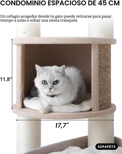 Miniatura 7 de Árbol para gatos extra grande para Maine Coon, torre de árbol para gatos de interior de 65 pulgadas de altura para gatos adultos grandes de 20