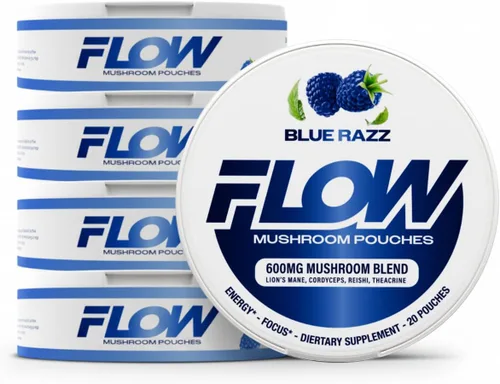 Flow Pouches Bolsas nootrópicas de hongos – 600 mg orgánico de hongos energéticos ultra bolsas con melena de león, reishi, cordyceps para