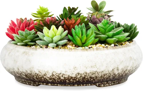 Macetas de suculentas - Macetas de bonsái de cerámica de 11.5 pulgadas con drenaje, macetas de suculentas grandes y poco profundas para plantas de