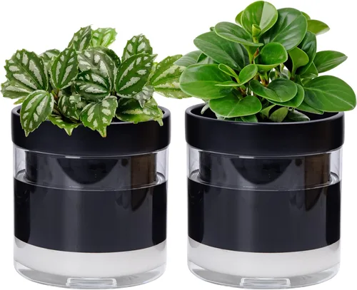 Miniatura 17 de Maceta Phoenix Vine de 6 Pulgadas con Riego Automático, Maceta de Arcilla Terracota con Reservario de Vidrio para Plantas de Interior, Hierbas