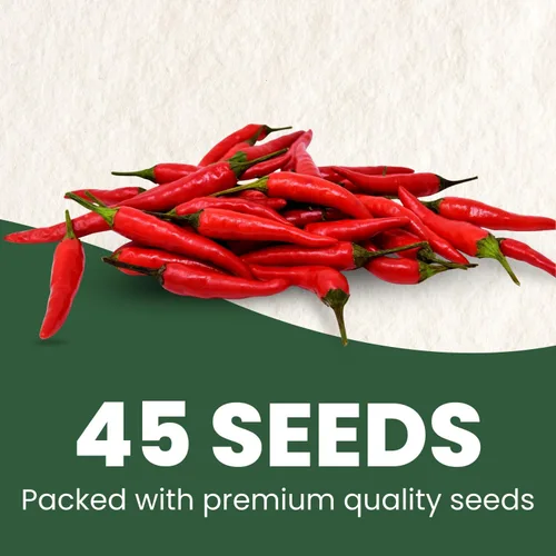 Miniatura 27 de Shishito Pepper – 60 semillas premium para plantar – Pimienta especial dulce, salada y de alto rendimiento para la temporada 2026 – Bolsa de 500