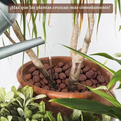 Miniatura 7 de Legigo 2 LB de piedras de arcilla Leca orgánicas para plantas, bolas de Leca 100% naturales de 4mm-16mm para plantas de interior, piedras de arcilla