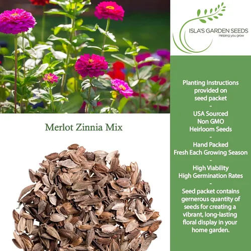 Miniatura 2 de Zinnia Merlot Mix - Semillas de flores para plantar, más de 200 semillas de flores por paquete, meteorito, príncipe morado y escarlata llama