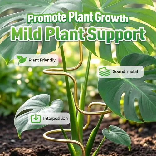 Miniatura 2 de Estacas para plantas, 2026 nuevas estacas de soporte para plantas de interior, soportes para escalada de tallo en maceta, soporte alto para plantas