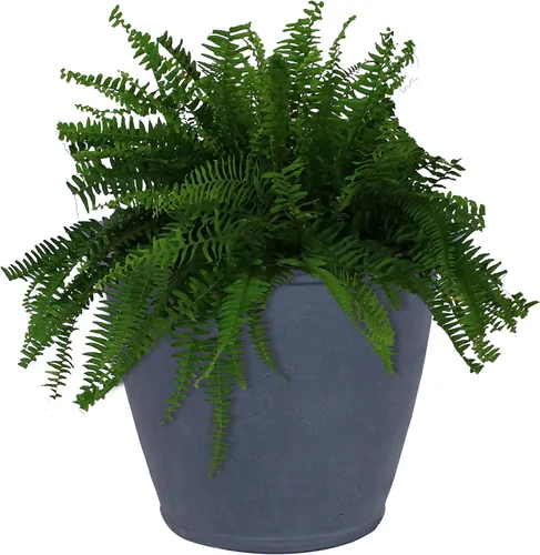 Miniatura 20 de Sunnydaze Anjelica - Maceta grande de plástico para plantas, maceta grande de plástico de doble pared para exteriores con agujeros de drenaje Óxido